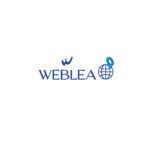 diseno-web-seo-testimonio-weblea