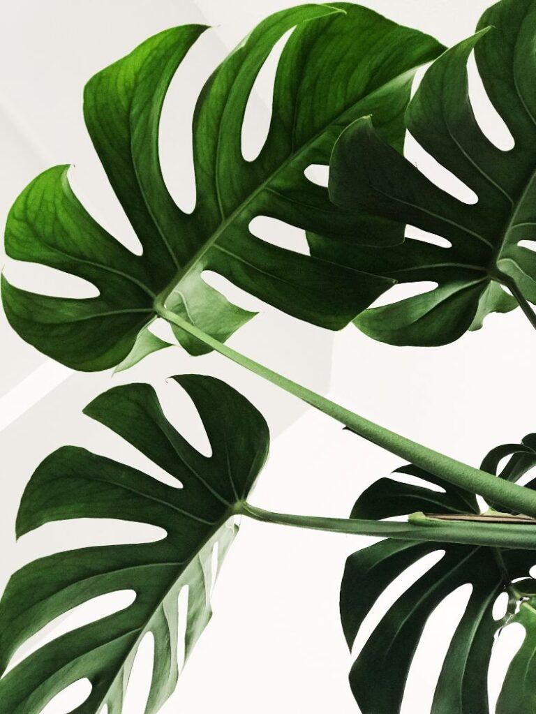 diseno-web-inversion