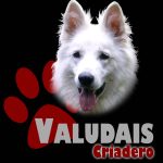 LogoValudais
